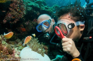 Les indices se trouvent sous la surface... Les indices se trouvent sous la surface...