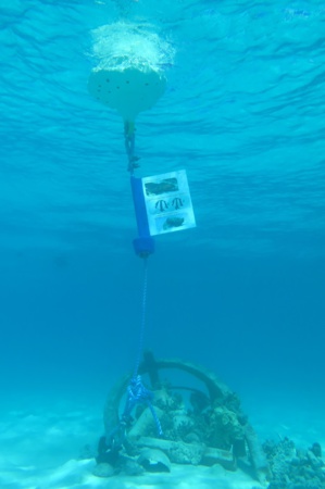 MobiReef : un sentier sous-marin créé aux Maldives par le Club Med et Euro-Divers ! MobiReef : un sentier sous-marin créé aux Maldives par le Club Med et Euro-Divers !