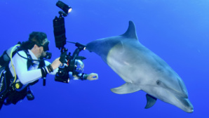 Le réalisateur Franck Fougère Le réalisateur Franck Fougère