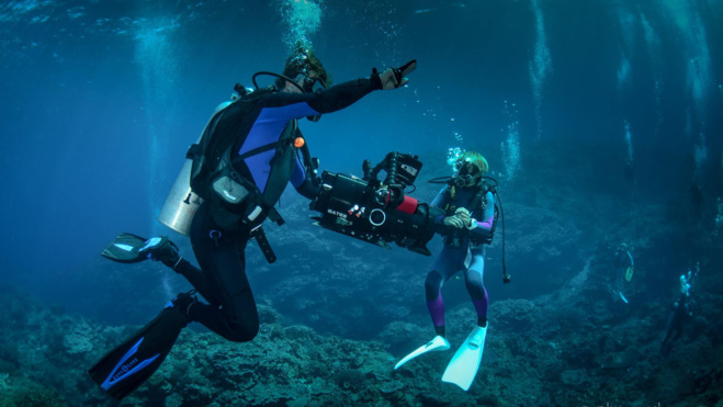 Mexique - Voyage plongée et stage vidéo avec le célèbre réalisateur René Heuzey ! Mexique - Voyage plongée et stage vidéo avec le célèbre réalisateur René Heuzey !