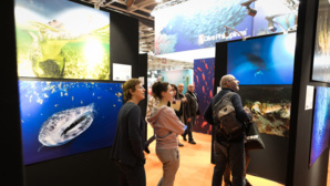 Salon International de la Plongée Sous-Marine : toutes les nouveautés 2019 ! Salon International de la Plongée Sous-Marine : toutes les nouveautés 2019 !