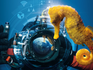 Salon International de la Plongée Sous-Marine : toutes les nouveautés 2019 ! Salon International de la Plongée Sous-Marine : toutes les nouveautés 2019 !