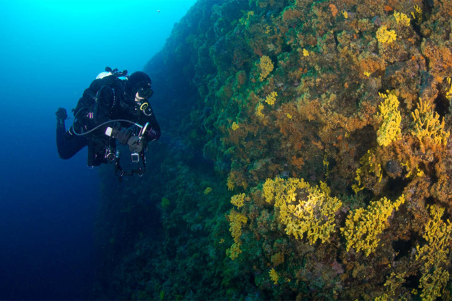 Scuba Awards : l'édition 2019 de la grande compétition de vidéo sous-marine est lancée ! Scuba Awards : l'édition 2019 de la grande compétition de vidéo sous-marine est lancée !