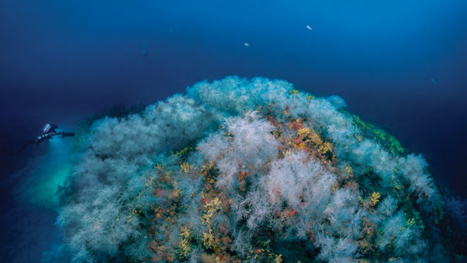 Expédition Gombessa V "Planète Méditerranée" - Épisode 2 Expédition Gombessa V "Planète Méditerranée" - Épisode 2