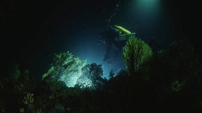 Expédition Gombessa V "Planète Méditerranée" - Épisode 21 : les dernières plongées ! Expédition Gombessa V "Planète Méditerranée" - Épisode 21 : les dernières plongées !