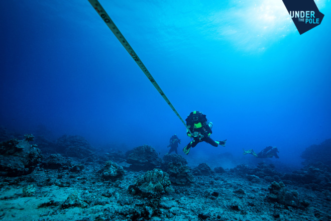Le choix du site de l'expédition Under The Pole III. Le choix du site de l'expédition Under The Pole III.