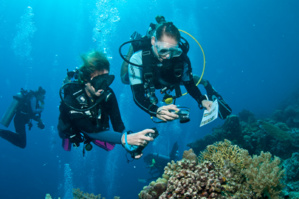 La nouvelle enquête sous-marine organisée par Objectif Atlantide en 2020 aux Philippines ! La nouvelle enquête sous-marine organisée par Objectif Atlantide en 2020 aux Philippines !