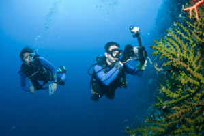La nouvelle enquête sous-marine organisée par Objectif Atlantide en 2020 aux Philippines ! La nouvelle enquête sous-marine organisée par Objectif Atlantide en 2020 aux Philippines !