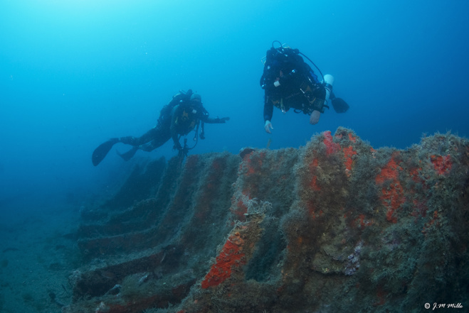 Scuba Awards : la compétition de vidéo sous-marine 2020 ! Scuba Awards : la compétition de vidéo sous-marine 2020 !