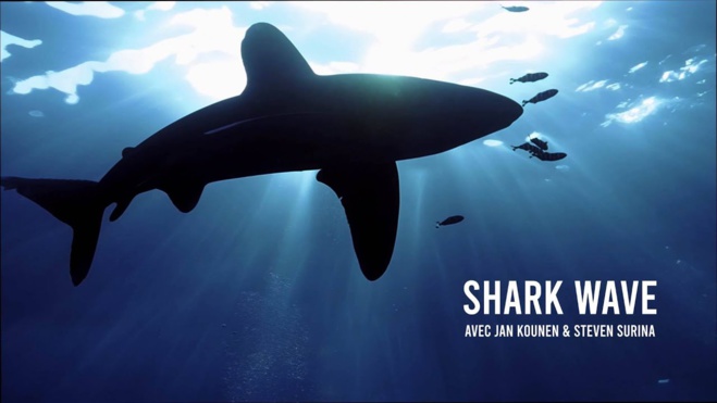 Shark Wave : le nouveau film avec Jan Kounen et Steven Surina ! Shark Wave : le nouveau film avec Jan Kounen et Steven Surina !