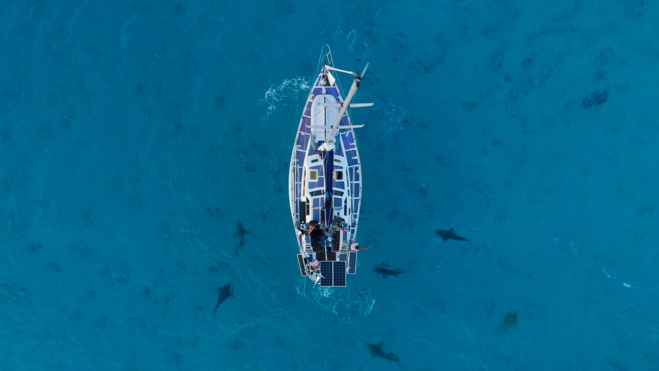 Série Lords of the Ocean - Épisode 04 : Avec les grands requins-marteau et les tigres aux Bahamas ! Série Lords of the Ocean - Épisode 04 : Avec les grands requins-marteau et les tigres aux Bahamas !
