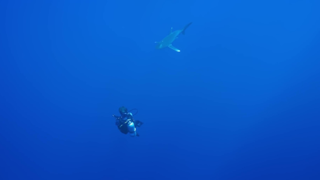 Série Lords of the Ocean - Épisode 05 : Avec les requins longimane et en apnée dans le Blue Hole ! Série Lords of the Ocean - Épisode 05 : Avec les requins longimane et en apnée dans le Blue Hole !