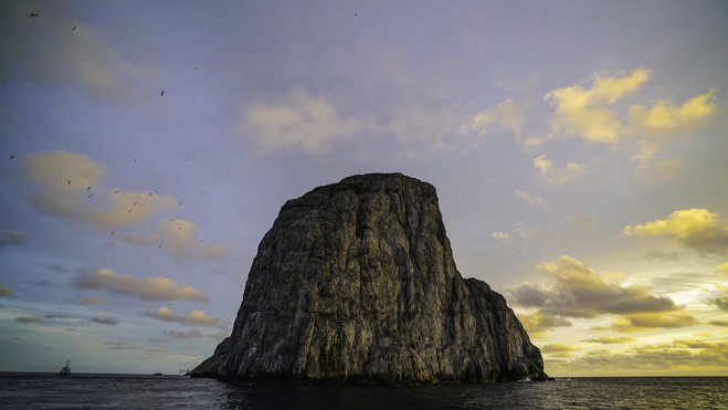 Série Lords of the Ocean - Épisode 07 : Plongées scientifiques dans la réserve de Malpelo !