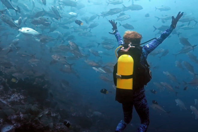 Série Lords of the Ocean - Épisode 07 : Plongées scientifiques dans la réserve de Malpelo ! Série Lords of the Ocean - Épisode 07 : Plongées scientifiques dans la réserve de Malpelo !