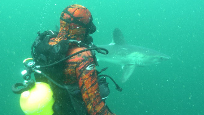 Série Lords of the Ocean - Saison 02 - Épisode 01 : requins taupe en Bretagne Nord !