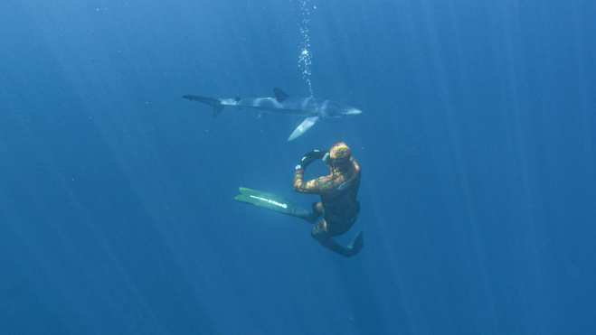 Série Lords of the Ocean - Saison 02 - Épisode 03 : les requins de Méditerranée