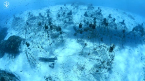 Le récif artificiel de Manta Reef