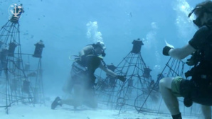 Les plongeurs de Coral Guardian Les plongeurs de Coral Guardian