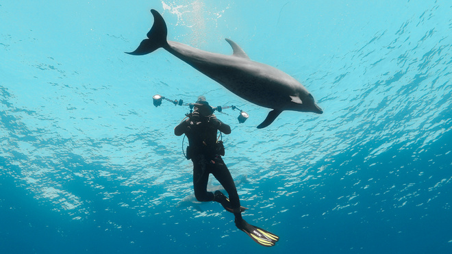 BLUE LENS : des ateliers de photo et video sous-marines immersifs et innovants ! BLUE LENS : des ateliers de photo et video sous-marines immersifs et innovants !