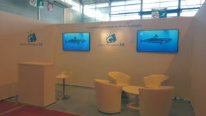 Salon International de la Plongée Sous-Marine : les nouveautés 2016 ! Salon International de la Plongée Sous-Marine : les nouveautés 2016 !