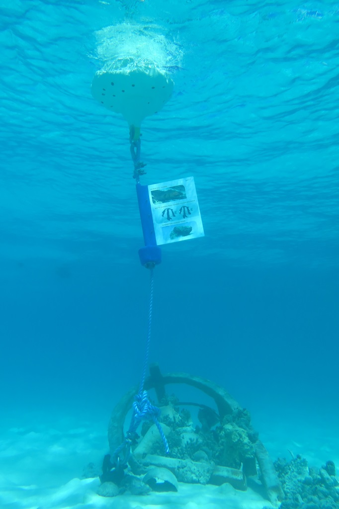 MobiReef : un sentier sous-marin créé aux Maldives par le Club Med et Euro-Divers !
