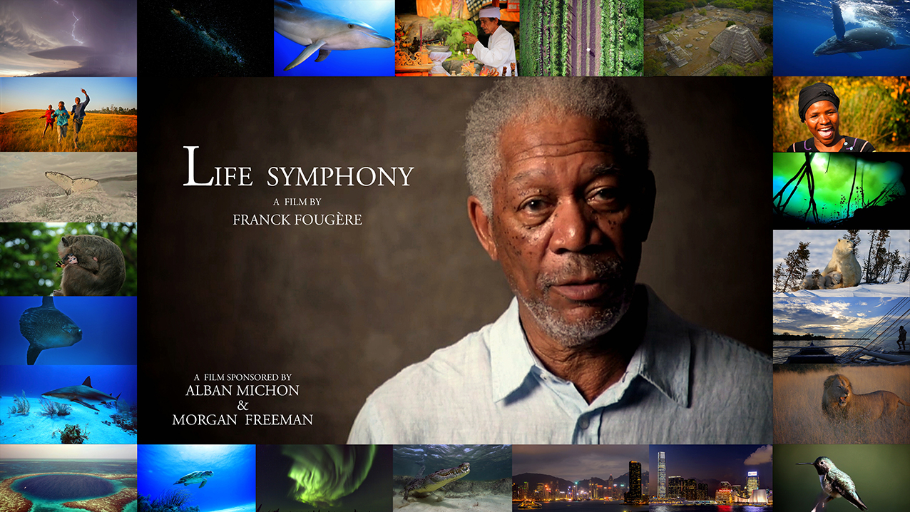 Life Symphony : le nouveau film du réalisteur Franck Fougère !