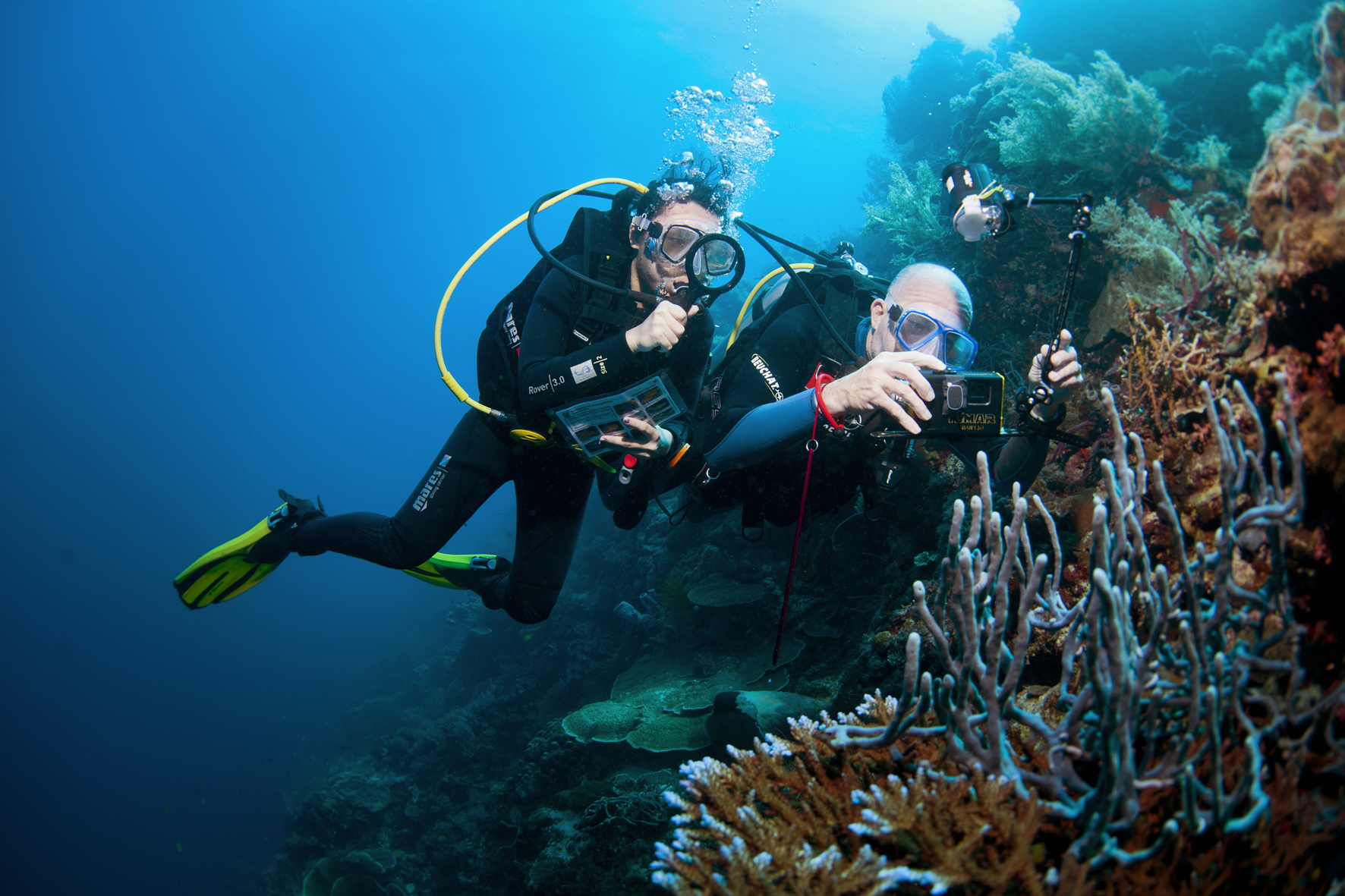 La nouvelle enquête sous-marine organisée par Objectif Atlantide en 2019 aux Philippines !