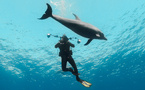 BLUE LENS : des ateliers de photo et video sous-marines immersifs et innovants !