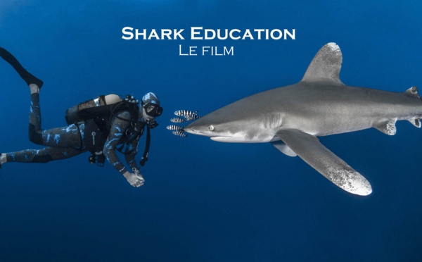 "Shark Education", le film : participez à l'aventure !