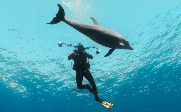 BLUE LENS : des ateliers de photo et video sous-marines immersifs et innovants !
